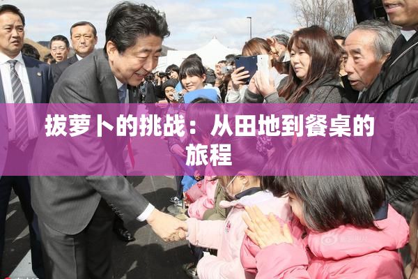 拔萝卜的挑战：从田地到餐桌的旅程