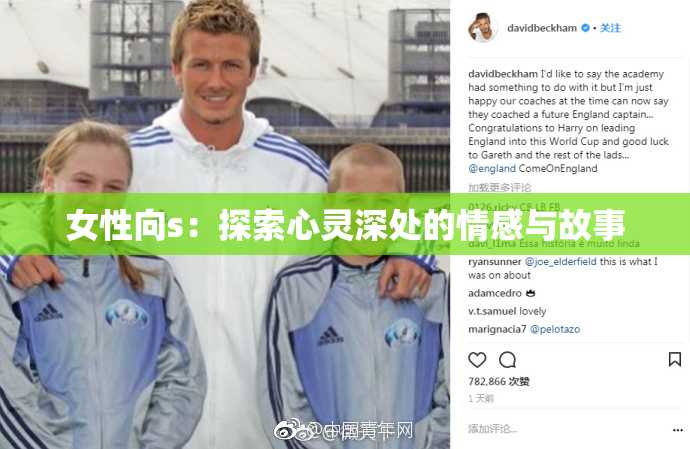 女性向s：探索心灵深处的情感与故事