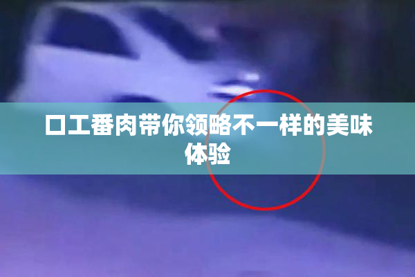 口工番肉带你领略不一样的美味体验