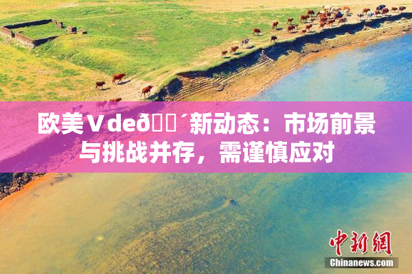 欧美Ⅴde🔴新动态：市场前景与挑战并存，需谨慎应对