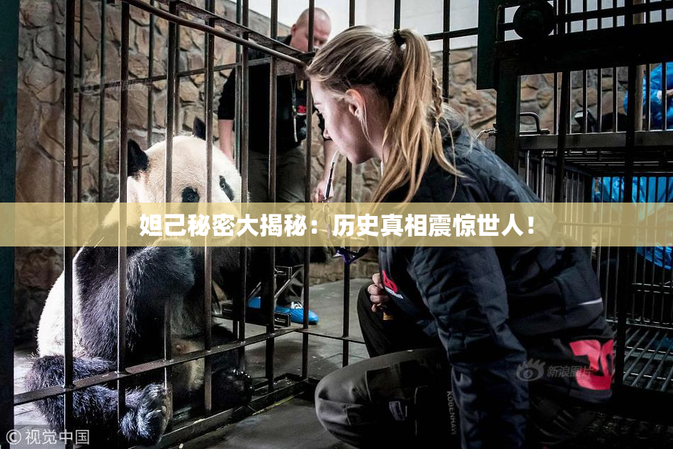 妲己秘密大揭秘：历史真相震惊世人！