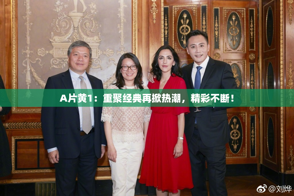 A片黄1：重聚经典再掀热潮，精彩不断！