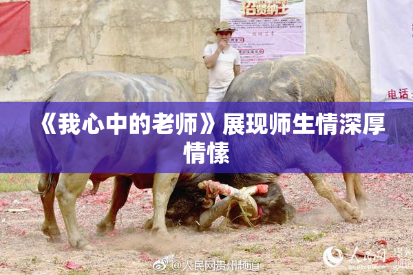 《我心中的老师》展现师生情深厚情愫