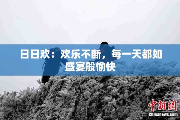 日日欢：欢乐不断，每一天都如盛宴般愉快