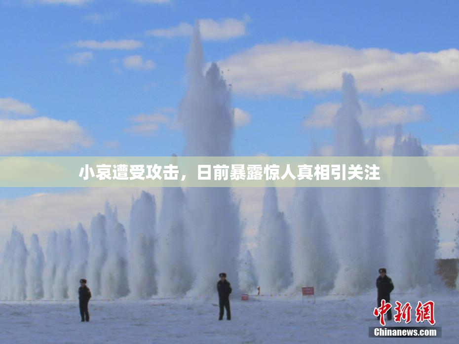 小哀遭受攻击，日前暴露惊人真相引关注