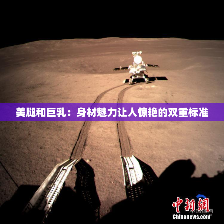 美腿和巨乳：身材魅力让人惊艳的双重标准