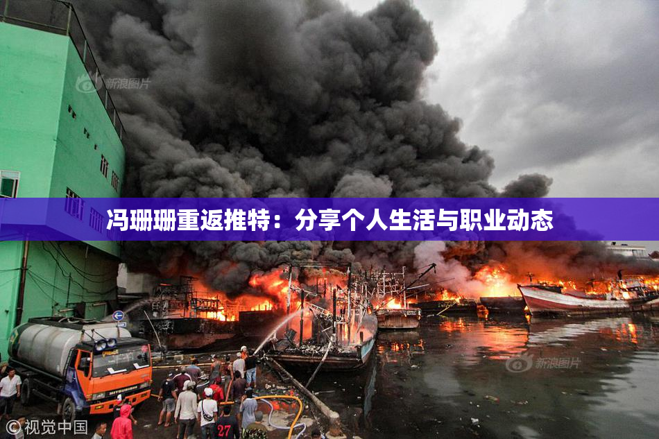 冯珊珊重返推特：分享个人生活与职业动态