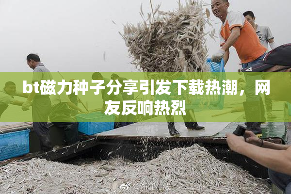bt磁力种子分享引发下载热潮，网友反响热烈