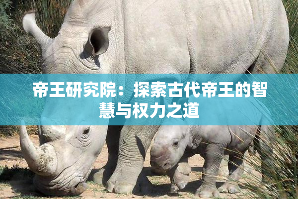 帝王研究院：探索古代帝王的智慧与权力之道