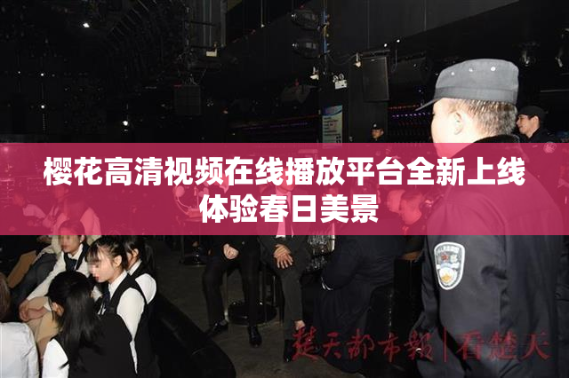 樱花高清视频在线播放平台全新上线 体验春日美景