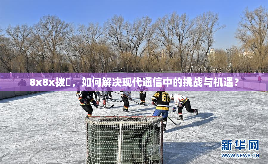 8x8x拨牐，如何解决现代通信中的挑战与机遇？