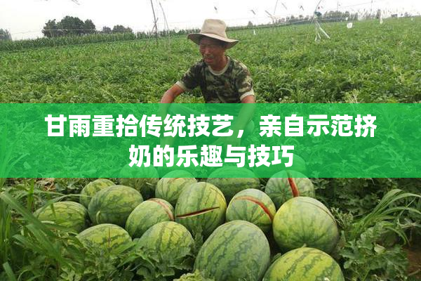 甘雨重拾传统技艺，亲自示范挤奶的乐趣与技巧