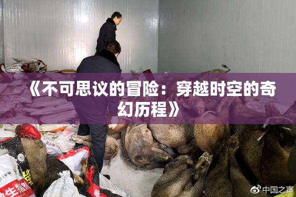 《不可思议的冒险：穿越时空的奇幻历程》