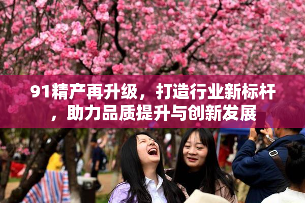 91精产再升级，打造行业新标杆，助力品质提升与创新发展