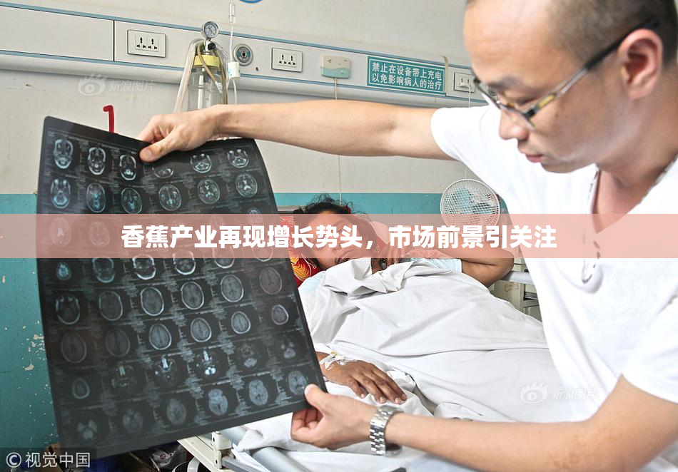 香蕉产业再现增长势头，市场前景引关注