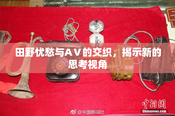 田野忧愁与AⅤ的交织，揭示新的思考视角
