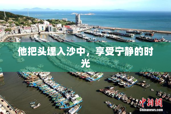 他把头埋入沙中，享受宁静的时光