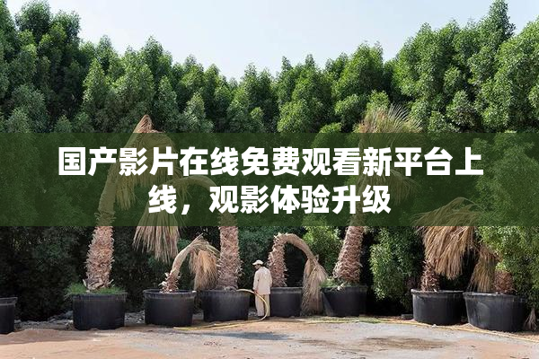 国产影片在线免费观看新平台上线，观影体验升级