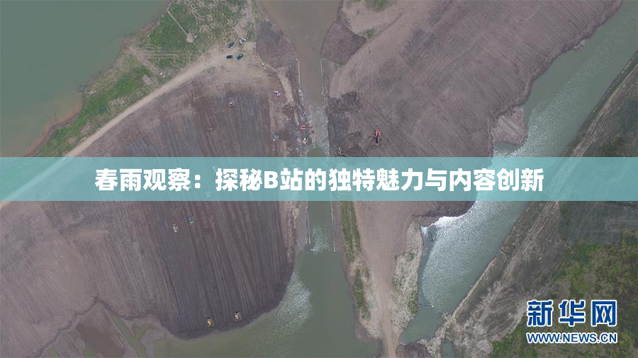 春雨观察：探秘B站的独特魅力与内容创新