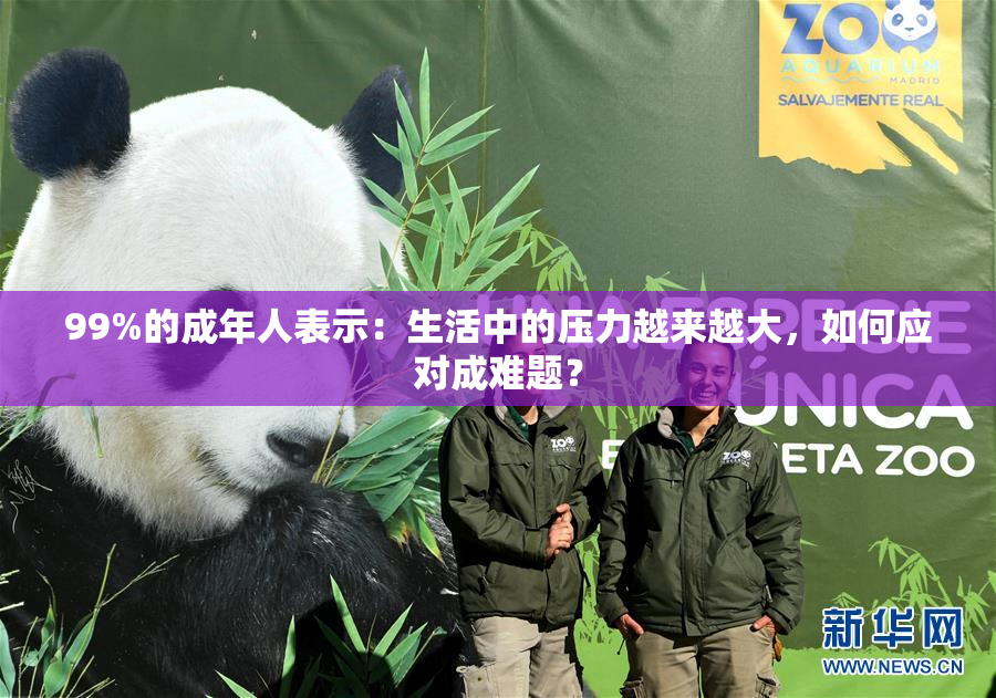 99%的成年人表示：生活中的压力越来越大，如何应对成难题？