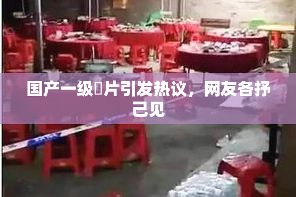 国产一级婬片引发热议，网友各抒己见