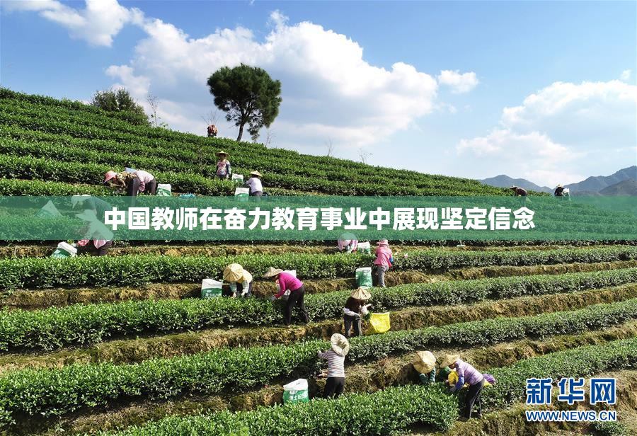 中国教师在奋力教育事业中展现坚定信念