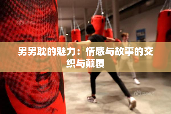 男男耽的魅力：情感与故事的交织与颠覆