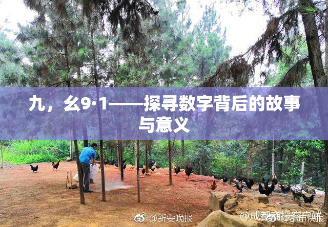 九，幺9·1——探寻数字背后的故事与意义