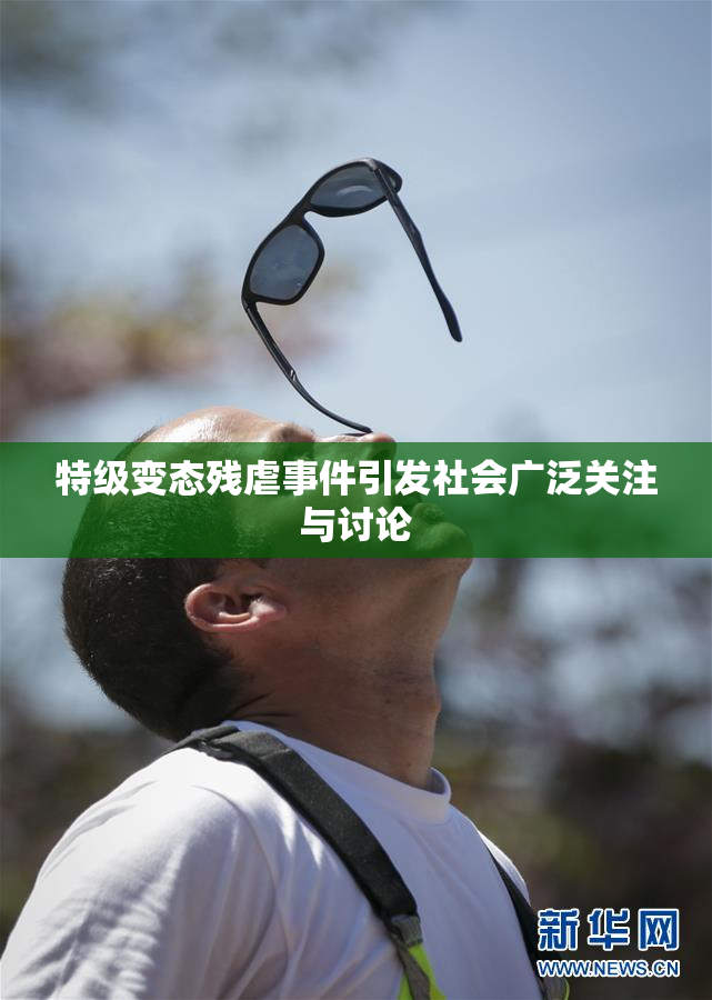 特级变态残虐事件引发社会广泛关注与讨论