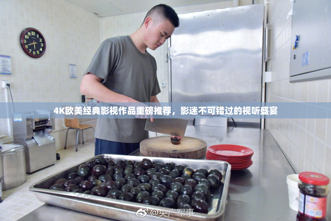 4K欧美经典影视作品重磅推荐，影迷不可错过的视听盛宴