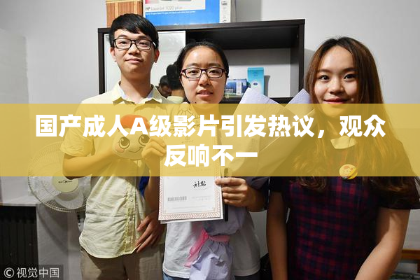 国产成人A级影片引发热议，观众反响不一