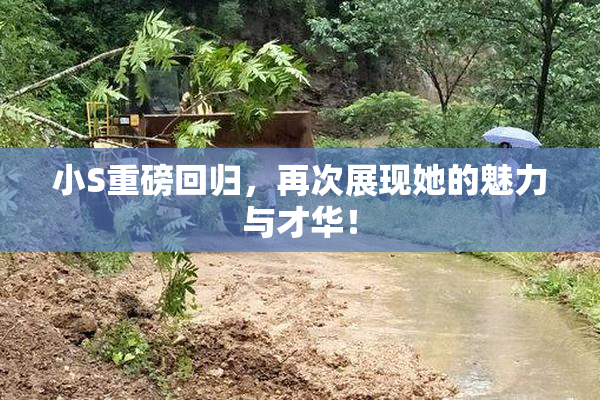小S重磅回归，再次展现她的魅力与才华！