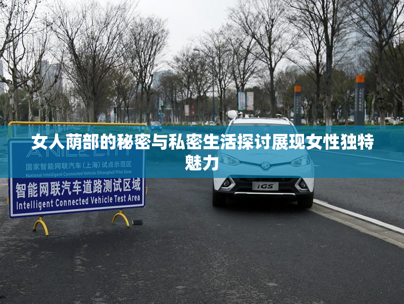 女人荫部的秘密与私密生活探讨展现女性独特魅力