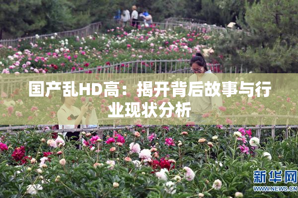 国产乱HD高：揭开背后故事与行业现状分析