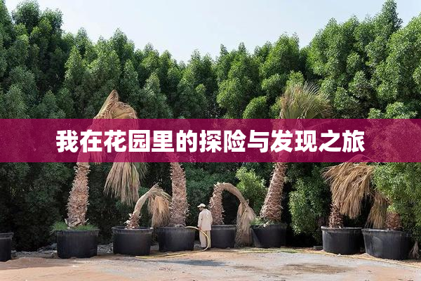 我在花园里的探险与发现之旅