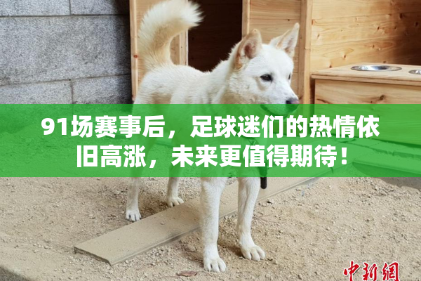 91场赛事后，足球迷们的热情依旧高涨，未来更值得期待！