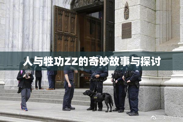 人与牲功ZZ的奇妙故事与探讨