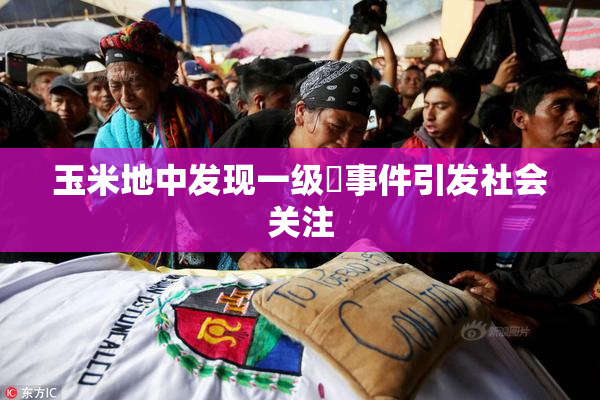 玉米地中发现一级婬事件引发社会关注