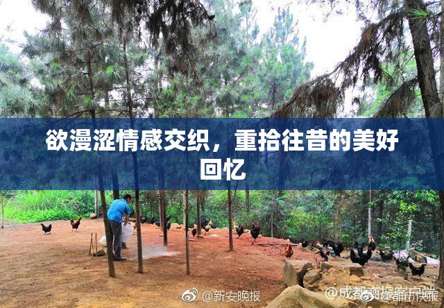 欲漫涩情感交织，重拾往昔的美好回忆