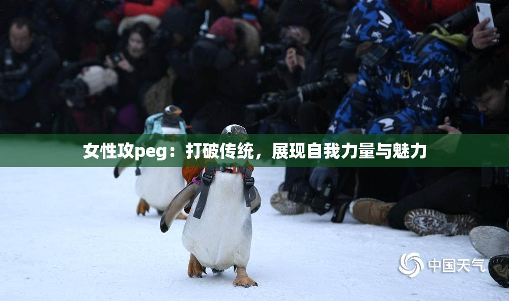 女性攻peg：打破传统，展现自我力量与魅力