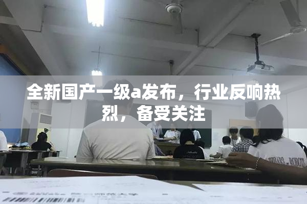 全新国产一级a发布，行业反响热烈，备受关注