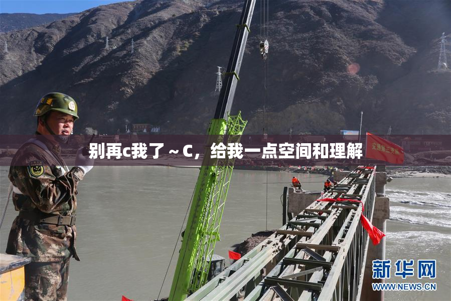 别再c我了～C，给我一点空间和理解