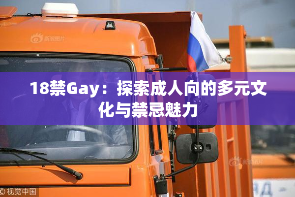 18禁Gay：探索成人向的多元文化与禁忌魅力