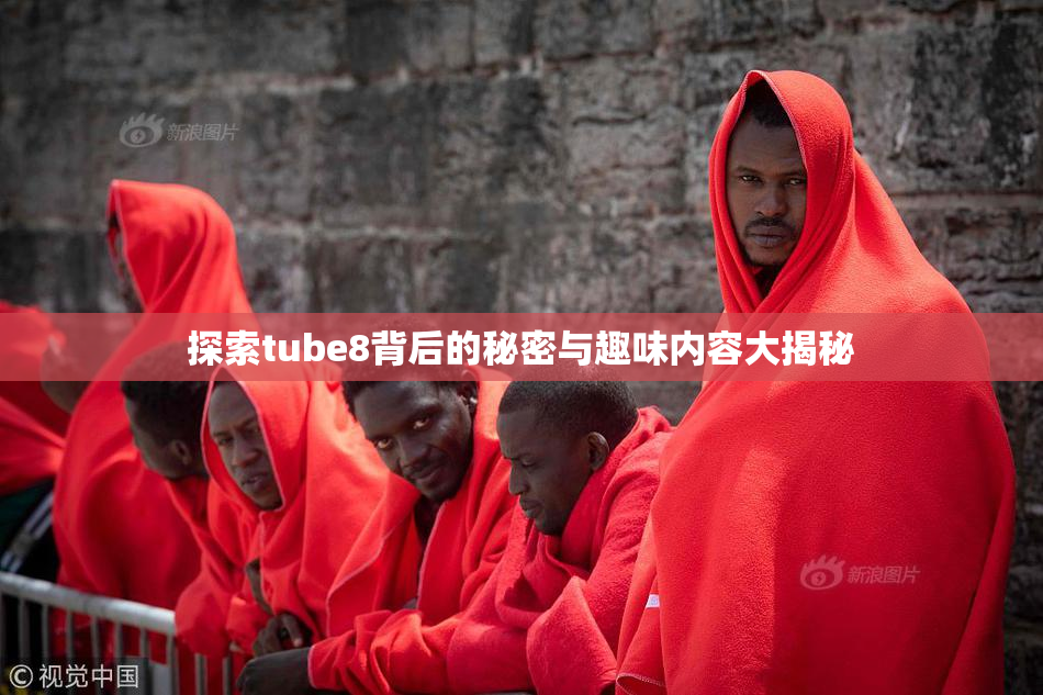 探索tube8背后的秘密与趣味内容大揭秘