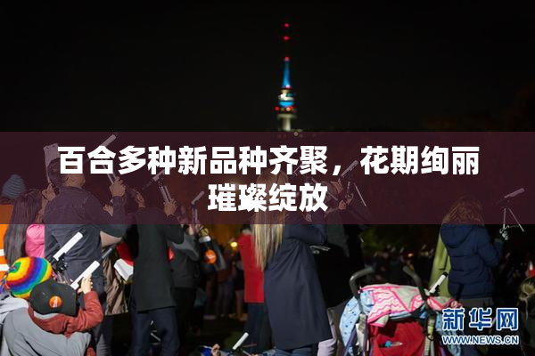 百合多种新品种齐聚，花期绚丽璀璨绽放
