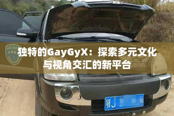 独特的GayGyX：探索多元文化与视角交汇的新平台