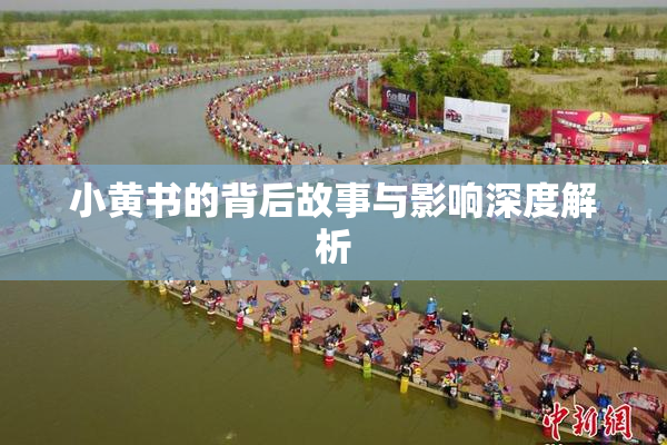小黄书的背后故事与影响深度解析