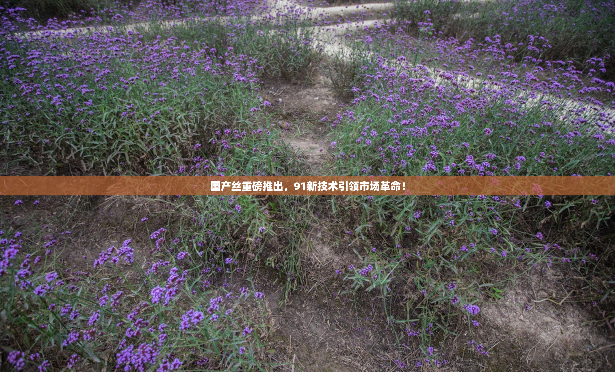 国产丝重磅推出，91新技术引领市场革命！