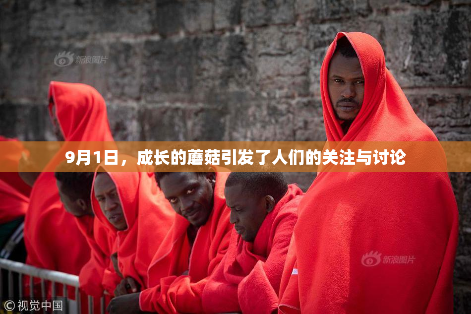 9月1日，成长的蘑菇引发了人们的关注与讨论