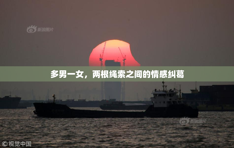 多男一女，两根绳索之间的情感纠葛